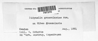 Image Associated With the Occurence